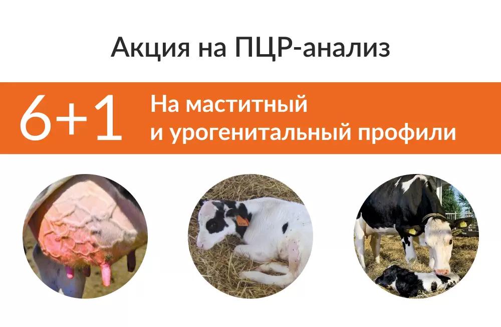 Бесплатный анализ каждой седьмой пробы методом ПЦР действует до 10.01.2024