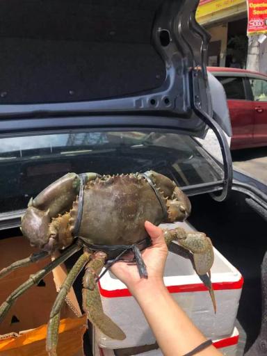 Лучшая рыба это краб.