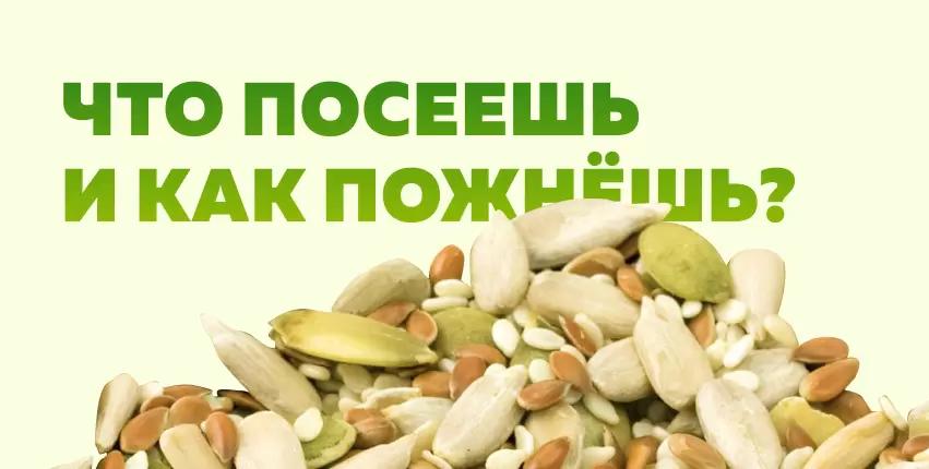 Что посеешь и как пожнёшь? 