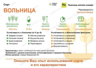 Вольница сорт пшеницы мягкой озимой