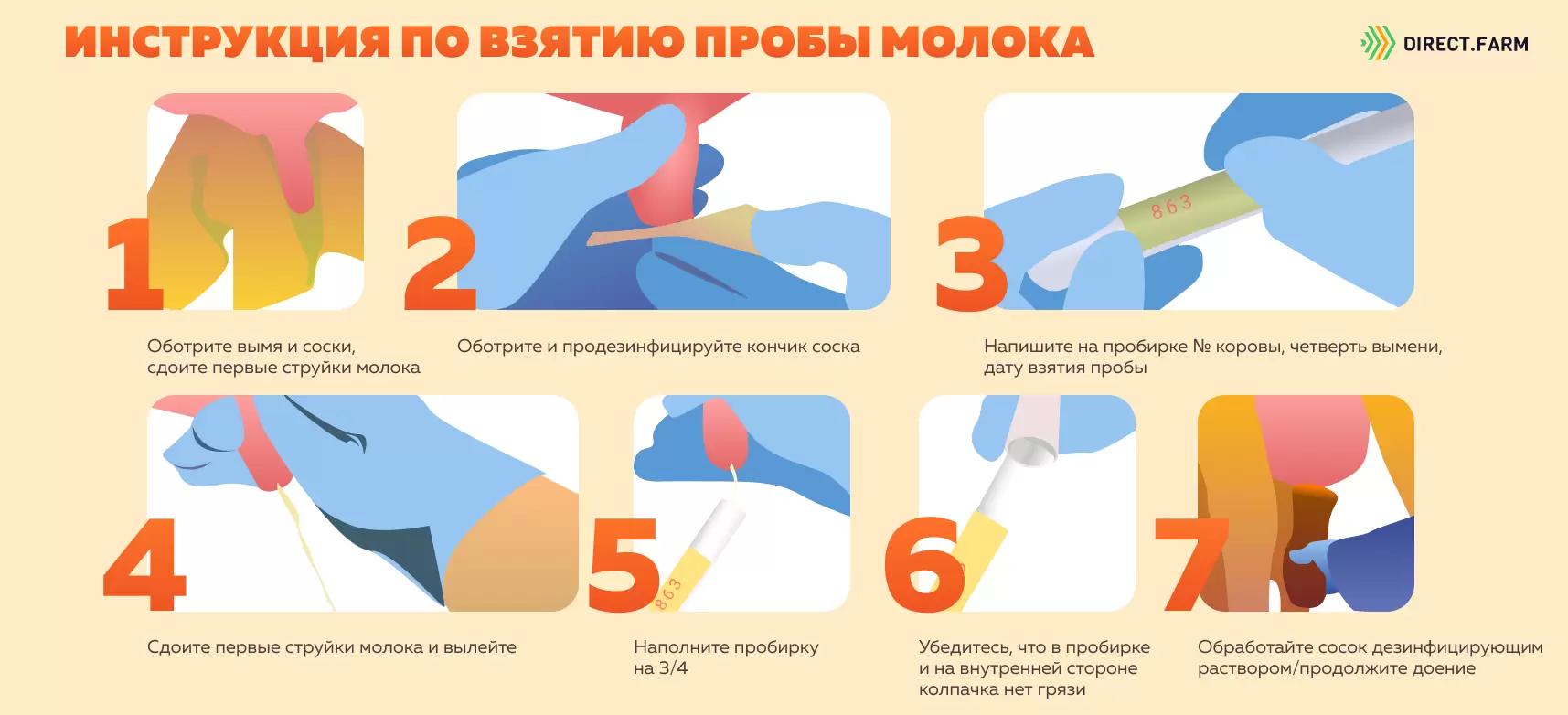Инструкция по взятию пробы молока