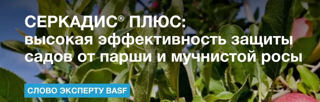 СЕРКАДИС® ПЛЮС: высокая эффективность защиты садов от парши и мучнистой росы