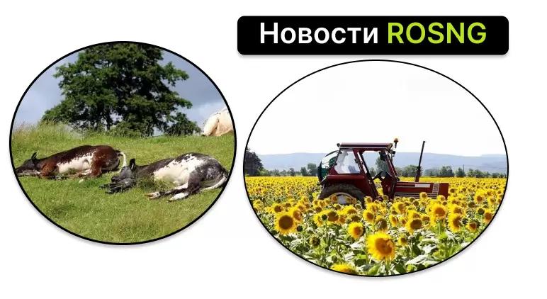 Обзор новостей за 9 августа