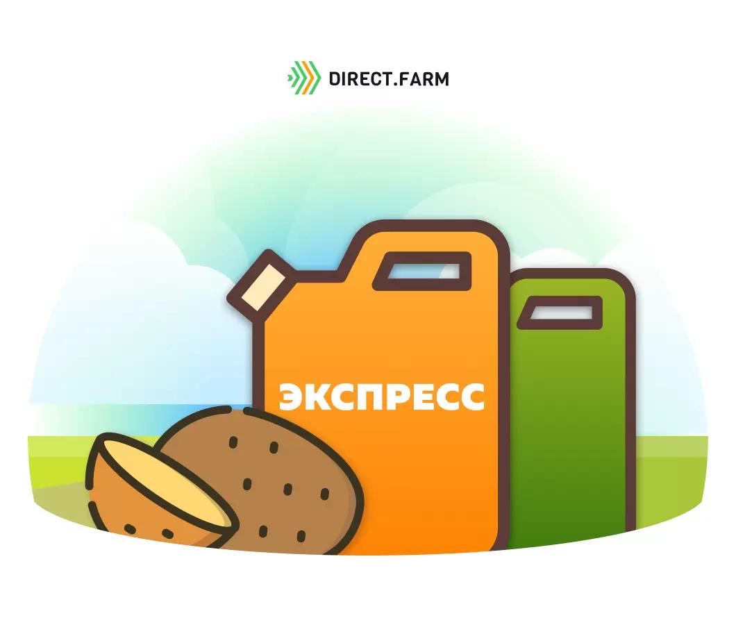 Повлияет ли "ЭКСПРЕСС" на картофель?