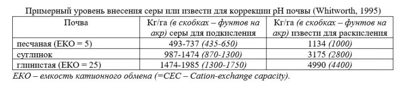 Важность pH почвы при возделывании голубики