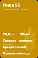 Нива 55 пшеница мягкая яровая