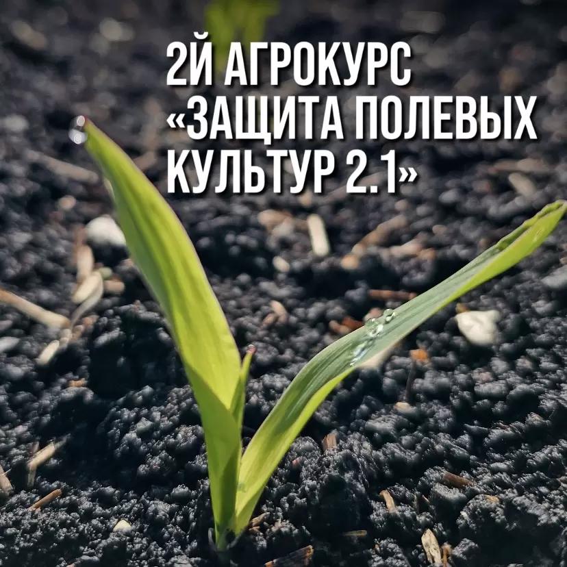 ВТОРОЙ АГРОКУРС «ЗАЩИТА ПОЛЕВЫХ КУЛЬТУР 2.1»