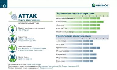 Аттак (ATTAK)