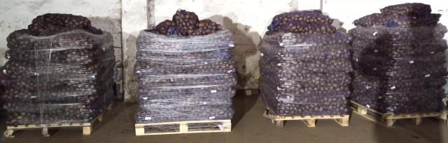 Картофель свежий РБ от производителя