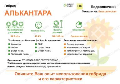 Алькантара (ALCANTARA) гибрид подсолнечника