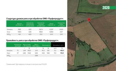 Влияние ОМК "Торфопродукт" на урожайность и качество рапса. 