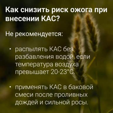 🔥 Топ-ошибок при внесении удобрений: как не навредить урожаю