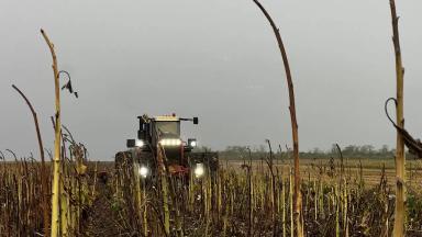 Трактор РСМ 2375 и автопилот Trimble - точность работы до 2 см