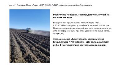 Опыты на овощных культурах: капуста белокочанная, морковь, картофель