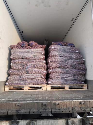 Картофель свежий РБ от производителя