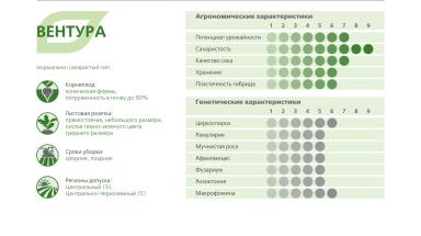 ВЕНТУРА