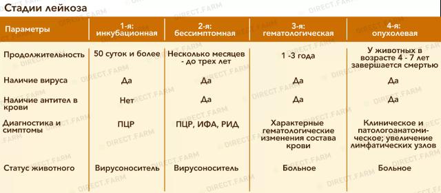 Влияние лейкоза КРС на здоровье человека