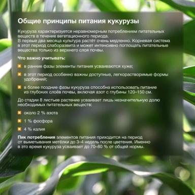 Что нужно знать, чтобы получить максимальный урожай?