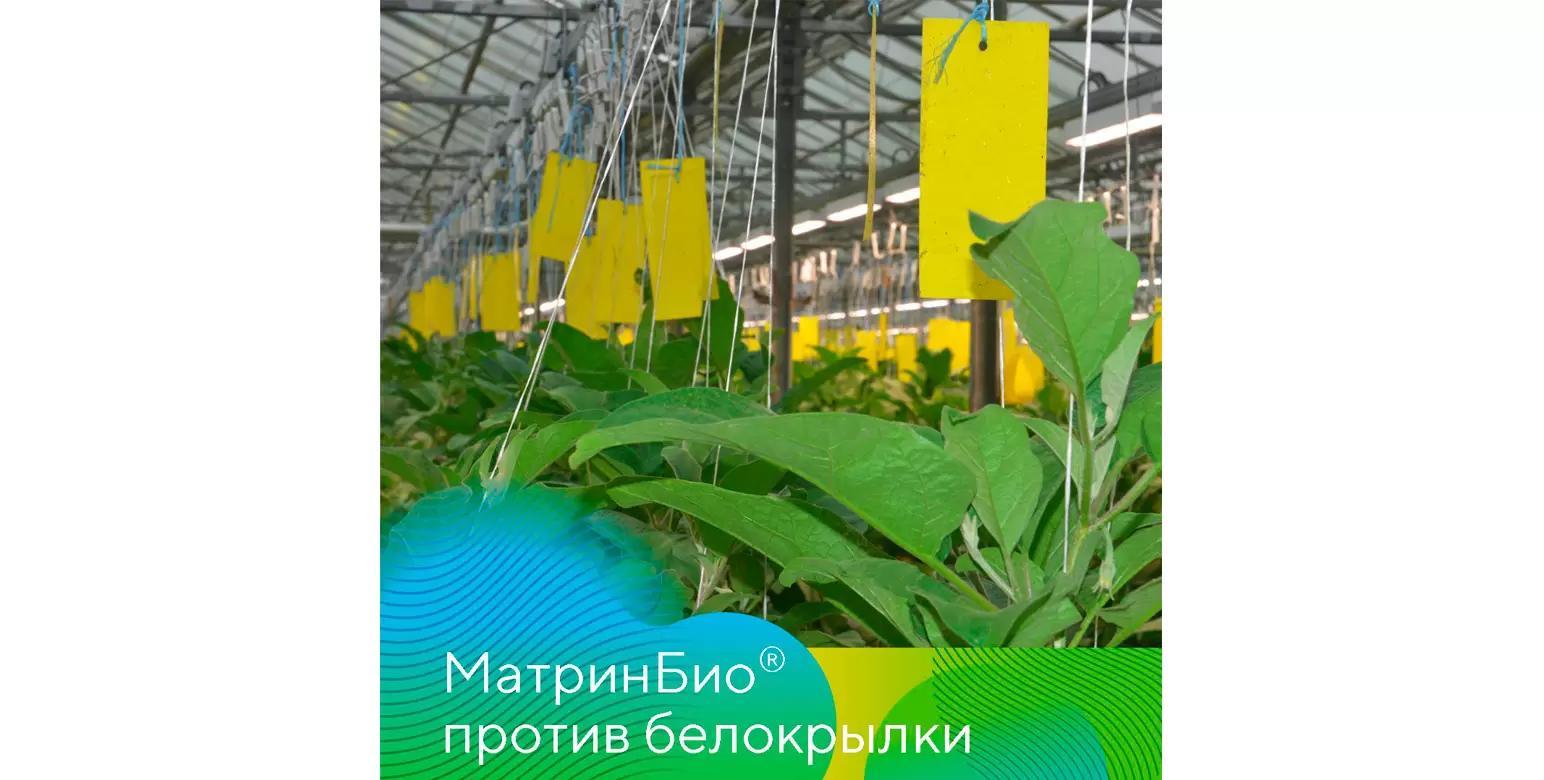 Опыт применения биологического инсектоакарицида