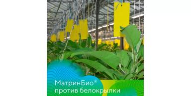 Опыт применения биологического инсектоакарицида