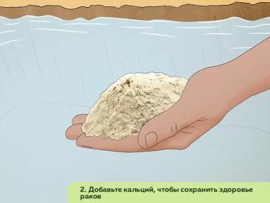 Как организовать ферму по разведению пресноводных раков. Часть 4