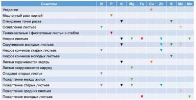 НЕХВАТКА ЭЛЕМЕНТОВ ПИТАНИЯ НА ПШЕНИЦЕ И ПОДСОЛНЕЧНИКЕ: ПОЛНАЯ ТАБЛИЦА СИМПТОМОВ