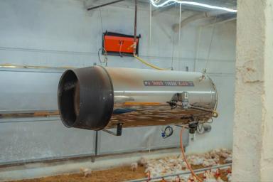 Газовая теплопушка для птицефабрик, птицеферм, теплиц