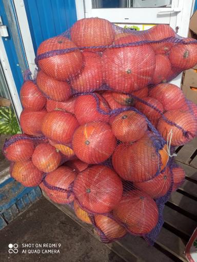 Разбор полетов 2023. Бахча