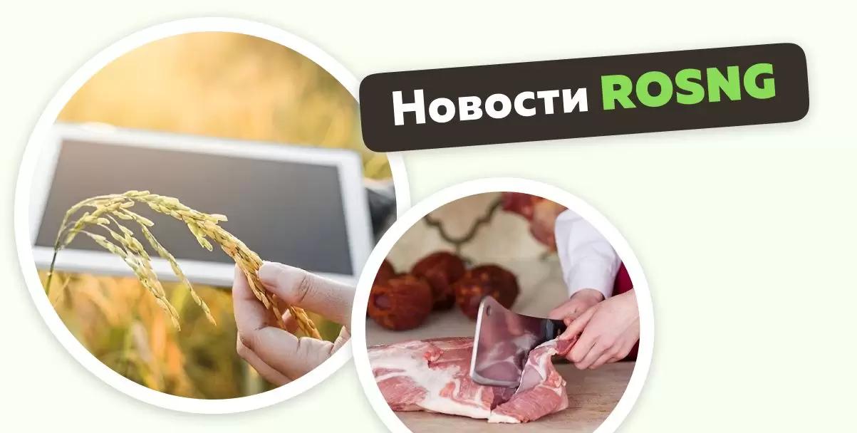Обзор новостей за 29 ноября