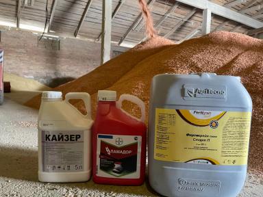 Фертигрейн Старт Плюс: стартовое удобрение для предпосевной обработки семян