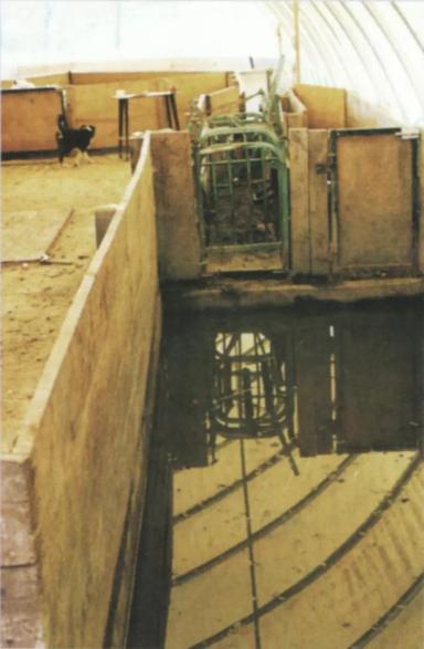 Дюдэ – Овцеводство. Гл. 18. Здоровье стада. Часть 1