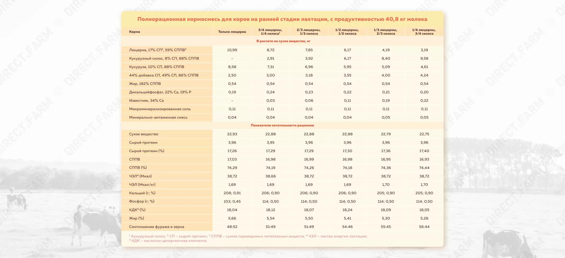 Рацион для коров на ранней стадии лактации