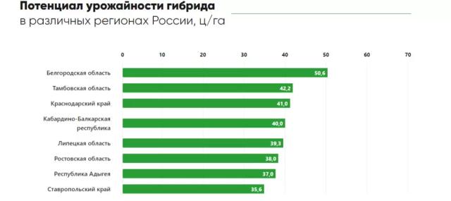П 64 ЛЕ 136 - гибрид подсолнечника Пионер