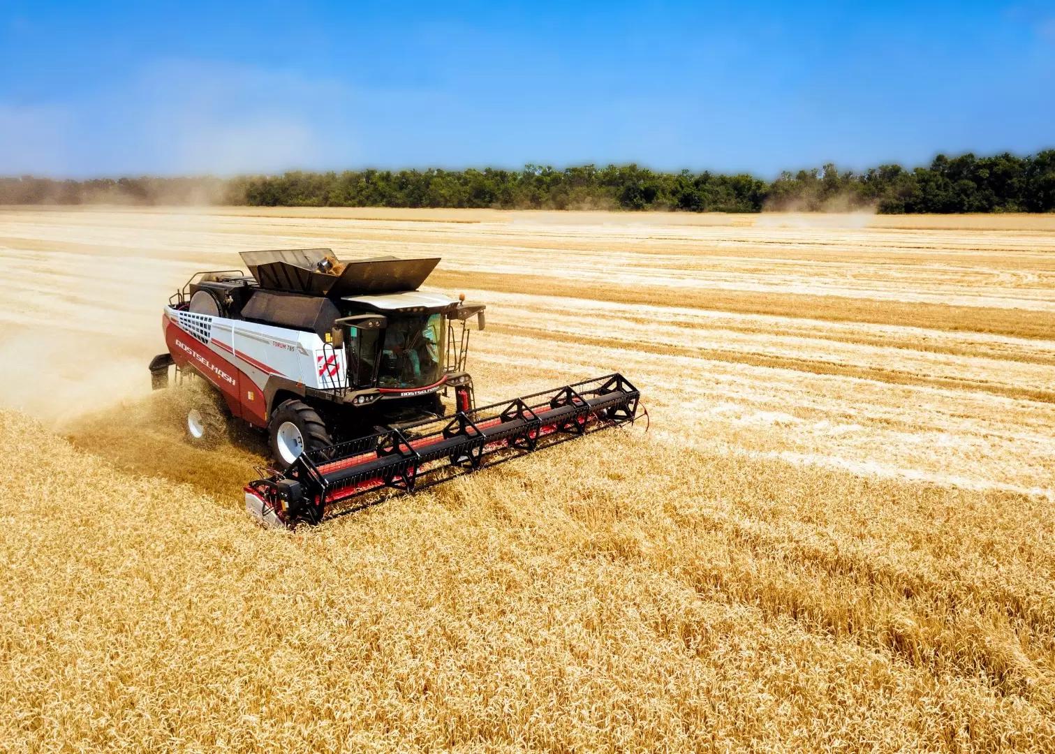 В чем секреты производительности комбайна TORUM 785?