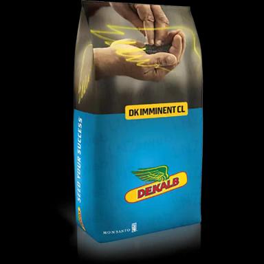 ДК Имайнент КЛ (DK IMMINENT CL)