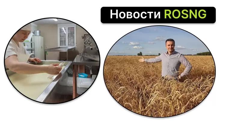 Дайджест новостей за 11 августа