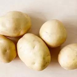 Карелия (Karelia)