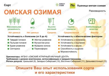 Омская озимая сорт мягкой озимой пшеницы