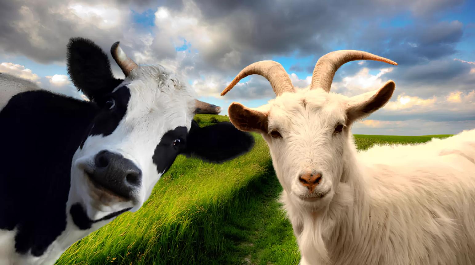 Какая с/х инвестиция окупится МНОГОКРАТНО??? Есть готовое решение!