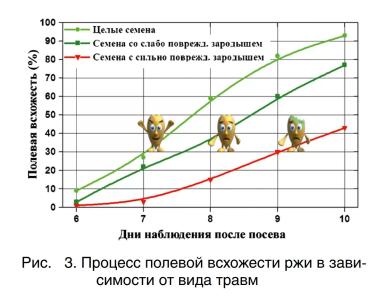 Влияние травмирования семян на их посевные качества