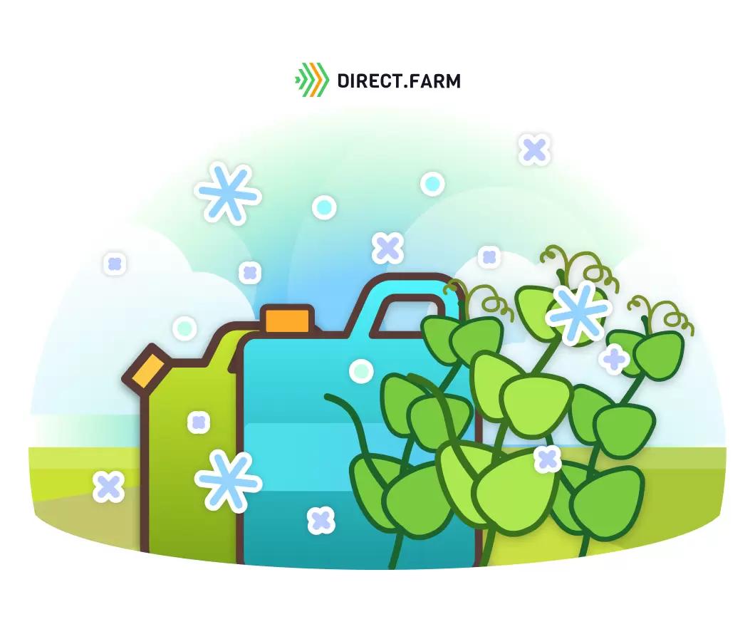 Какие удобрения применять при выращивании зимующего гороха?