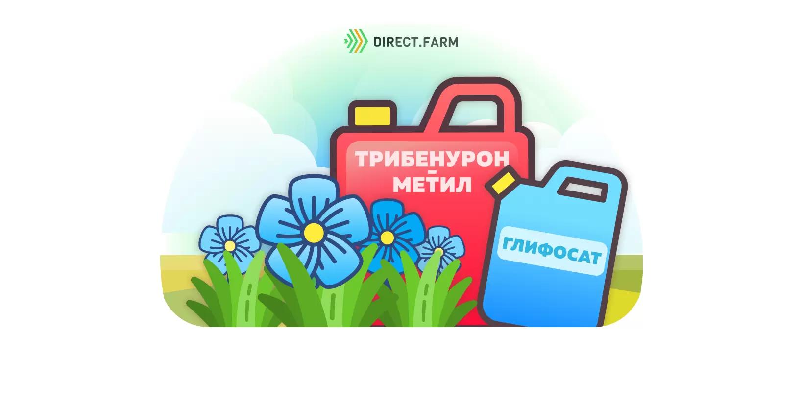 Последействие трибенурон-метила на лен