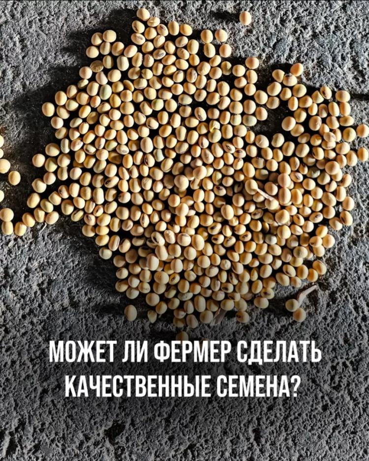 МОЖЕТ ЛИ ФЕРМЕР СДЕЛАТЬ КАЧЕСТВЕННЫЕ СЕМЕНА СОИ?