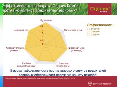 Сценик Комби – опыт применения протравителя