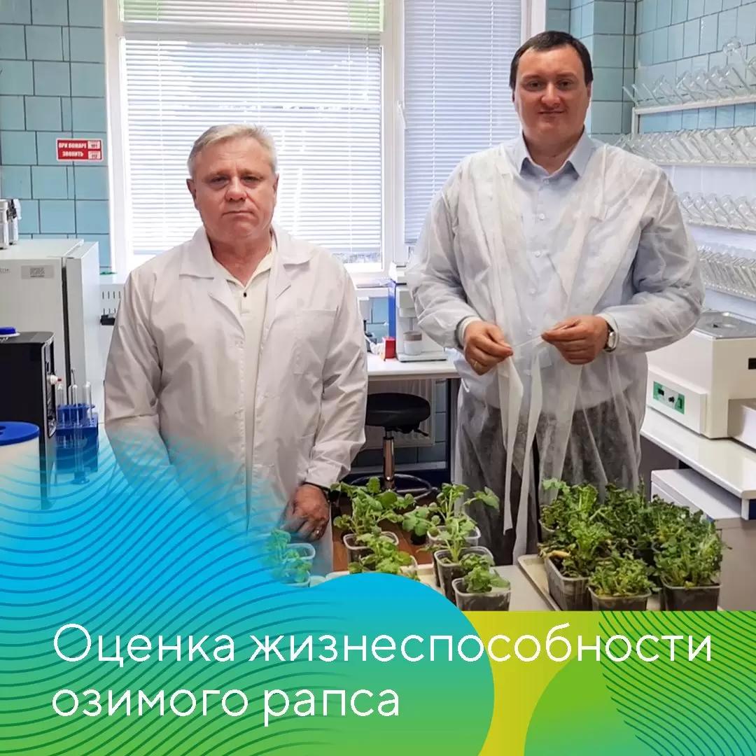 Новый ролик на платформе «Блог Августа»