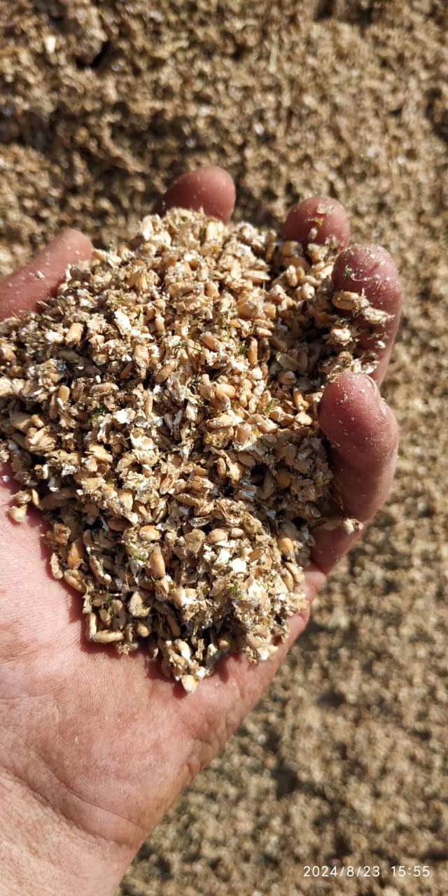 Плющилки для влажного и сухого зерна. Прекрасная альтернатива дроблению.