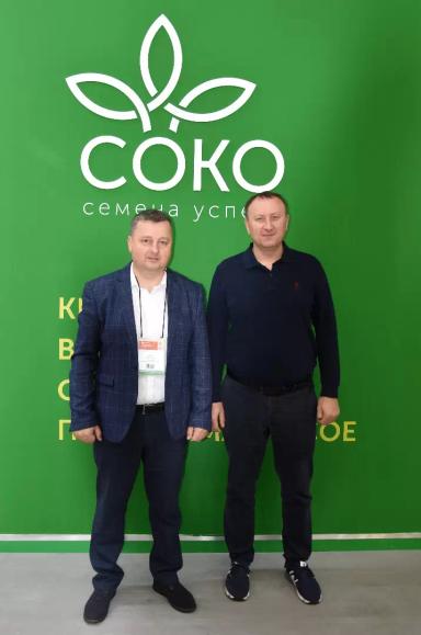 В ТРЕНДЕ – РОССИЙСКАЯ СОЯ