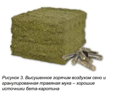 Обеспечение молочных коров бета-каротином