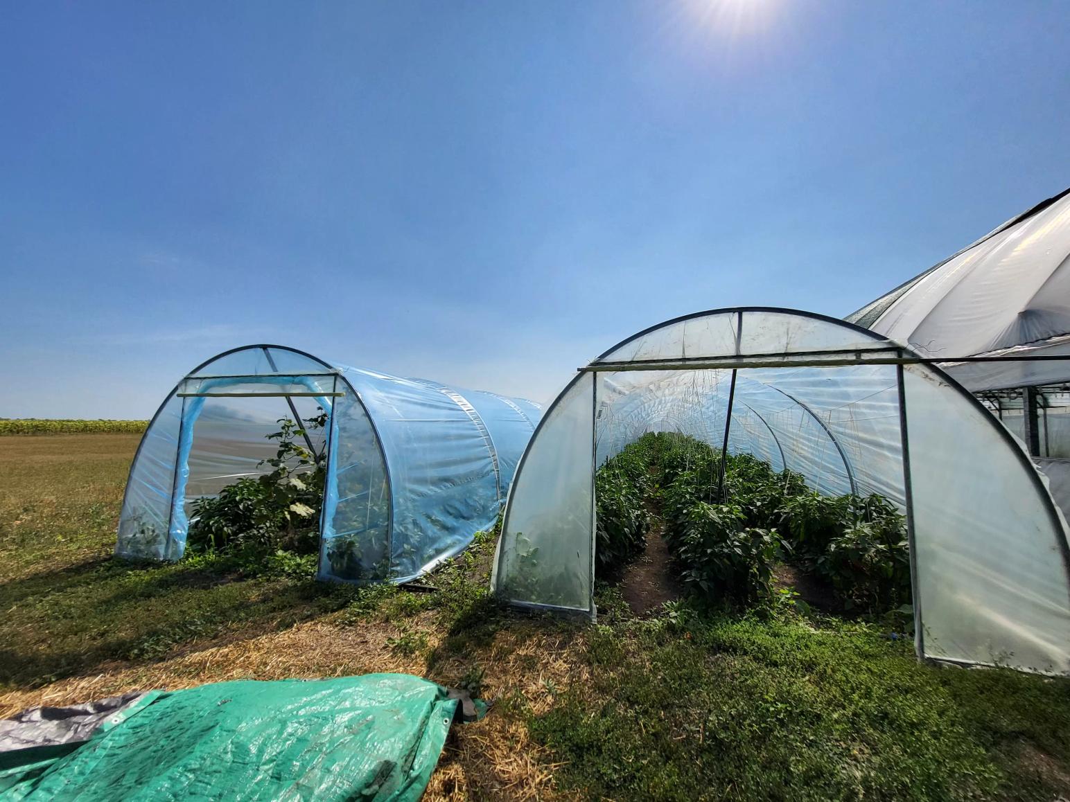 Балаганы - спасение в холодные ночи