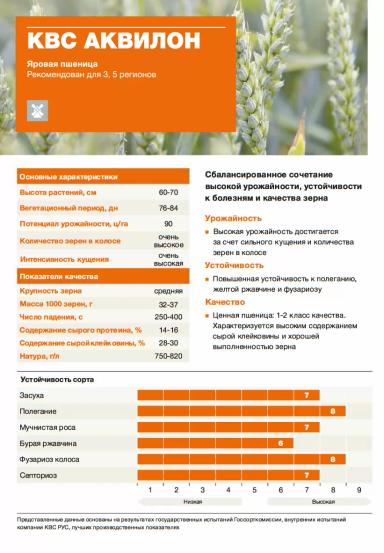 КВС Аквилон ® (KWS AKVILON) сорт мягкой яровой пшеницы